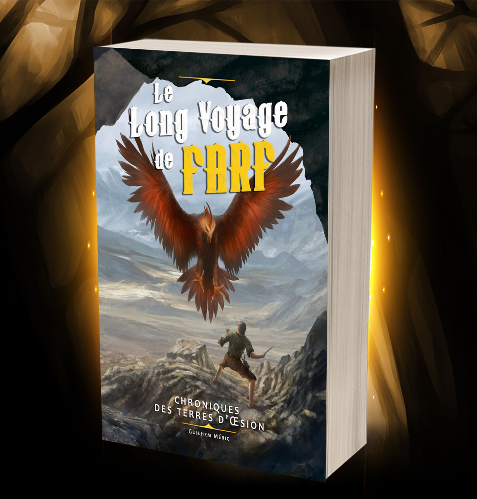 Couverture Le Long Voyage de Farf
